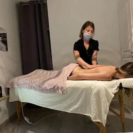 فيلة Les Palmiers. Charme, Et Massage En Vignoble Nantais