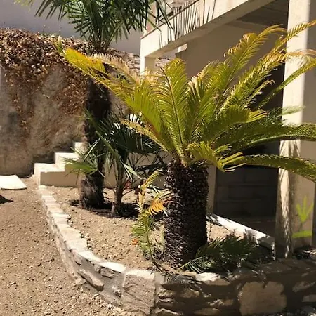 Les Palmiers. Charme, Et Massage En Vignoble Nantais فيلة