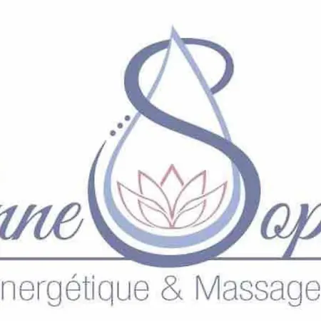 Les Palmiers. Charme, Et Massage En Vignoble Nantais Villa
